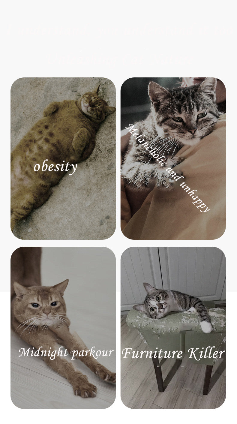 Smart Display ABS Cat Treadmill Cat Roller Silent Running Wheel Fitness Exercise Cat Climbing Frame Pet Toy