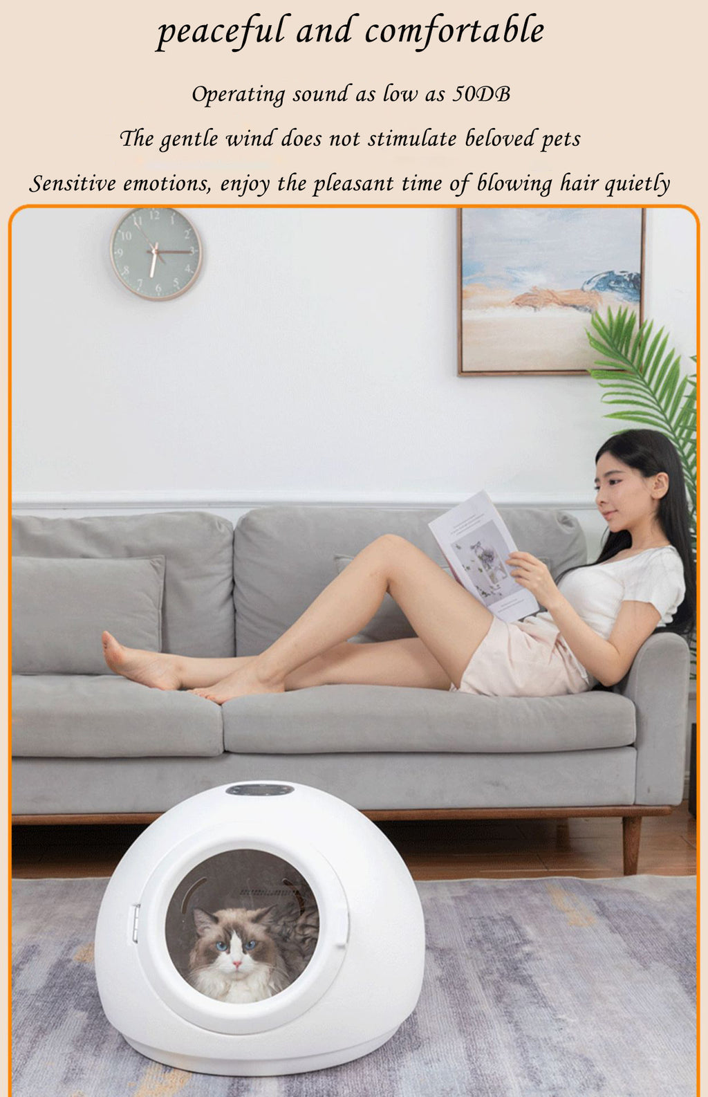 Pet cat drying box, small dog drying box, intelligent drying box, technology drying box