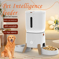 5L PET Intelligence Feeder APP Control the Remote Feeder One Machine Double Bowl Automatic Feeder for Cats and Dogs
