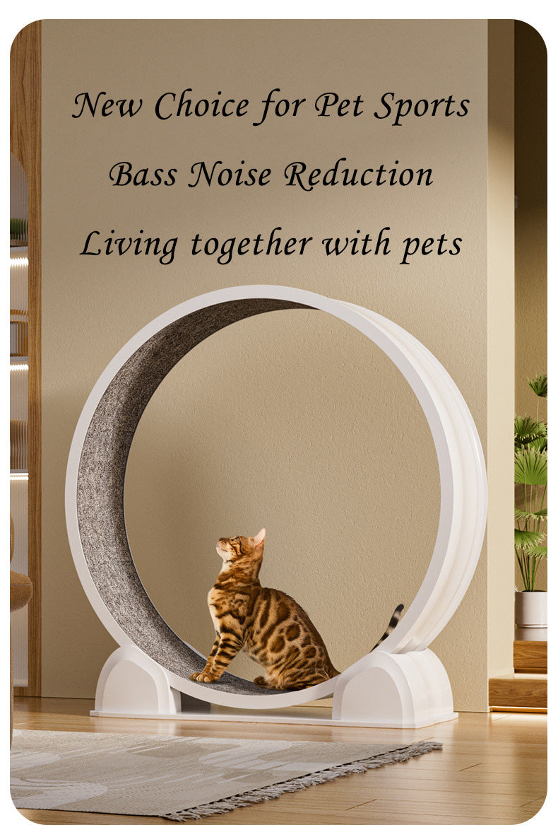 Smart Display ABS Cat Treadmill Cat Roller Silent Running Wheel Fitness Exercise Cat Climbing Frame Pet Toy