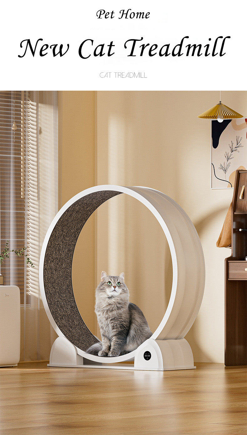Smart Display ABS Cat Treadmill Cat Roller Silent Running Wheel Fitness Exercise Cat Climbing Frame Pet Toy