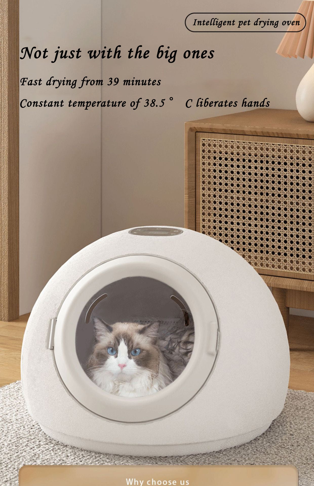 Pet cat drying box, small dog drying box, intelligent drying box, technology drying box