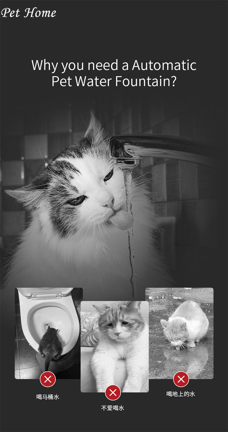 Smart Pet Water Dispenser Wireless Stainless Steel Cat Dog Silent Filtered Live Water Automatic Drinking Fountain Cat Water Dispenser